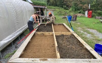 Nexus Group Furthers Study in Biochar, Anaerobic Digestion, and Pilot System