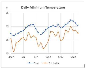 Daily minimum temperature chart