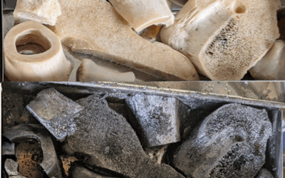 Updates From the Field: Nexus Project Explores Biochar’s Compost-Boosting Advantages