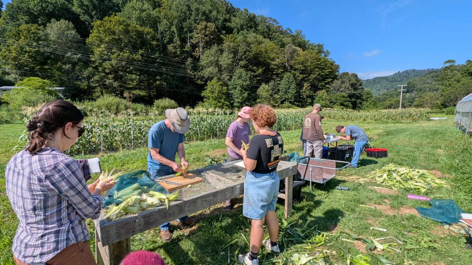 Biochar in Practice: Research and Community Applications