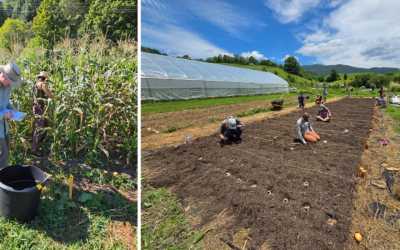 Student Research Success, Change and Progress Continues at the Nexus Project
